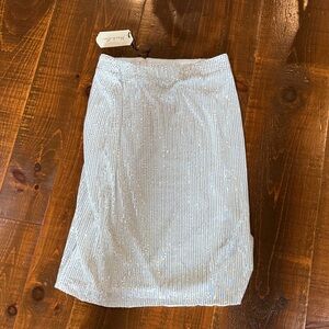 NWT sequin skirt
